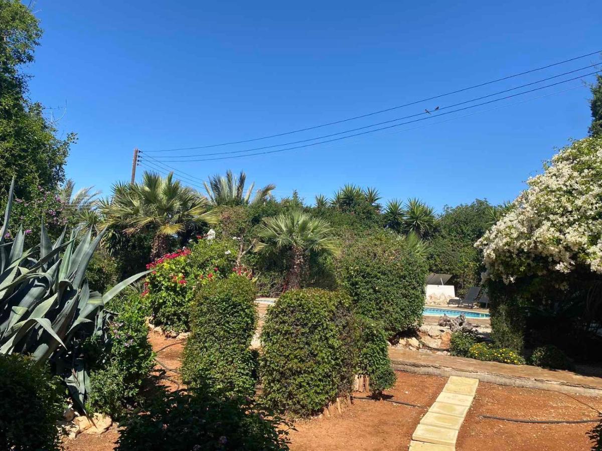 Konnos Villa Protaras Exterior photo